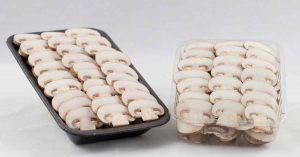 Portobello Laminado Neofungi